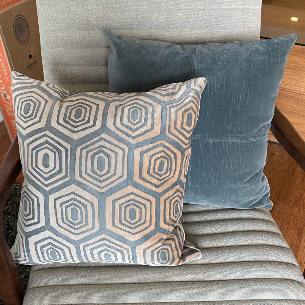 Room and Board Velvet Pillow